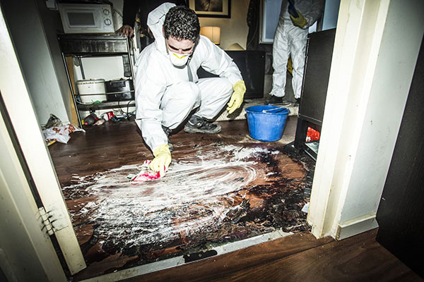 Comprehensive Mold Removal Damage Restoration Solutions Comprehensive Mold Removal Damage Restoration Solutions